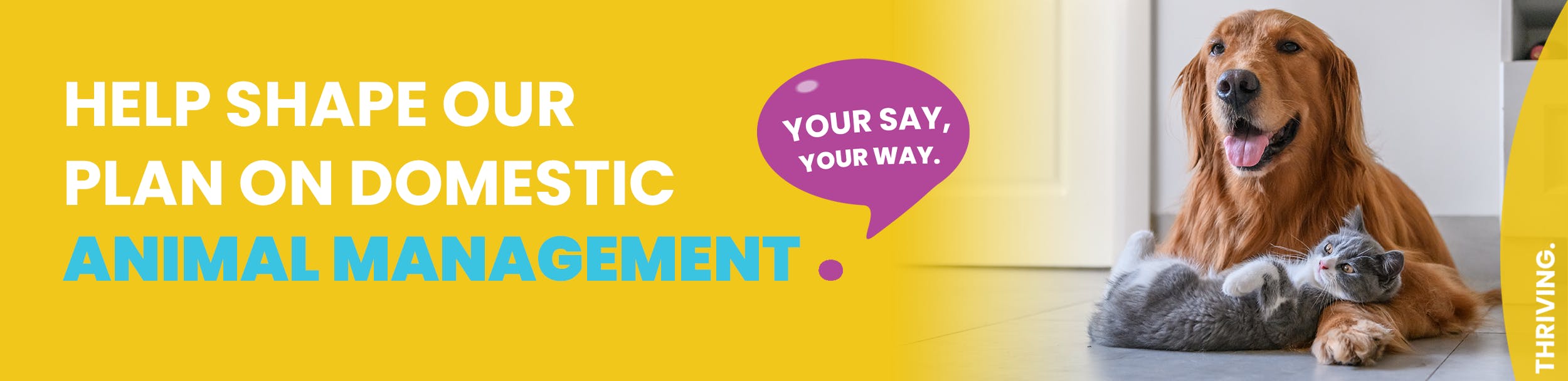 Animal visual data 5